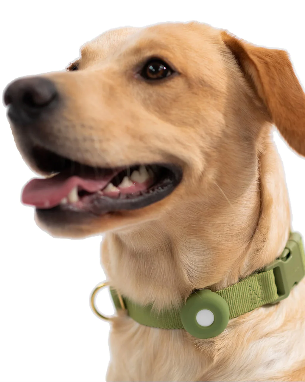 Awoo Fetch! AirTag Holder - Image 2
