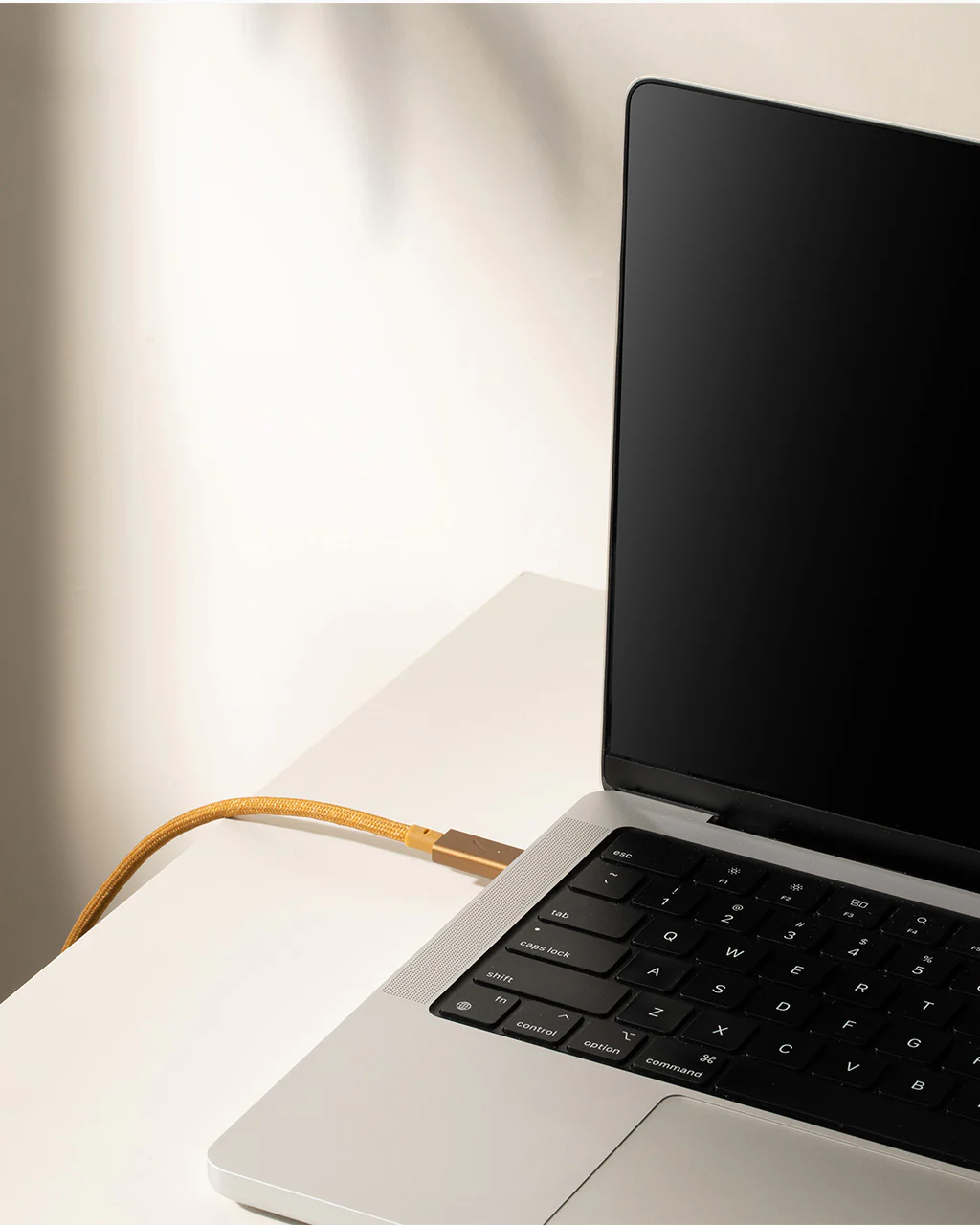 Native Union Belt Cable Pro 240W (USB-C TO USB-C) - Image 6