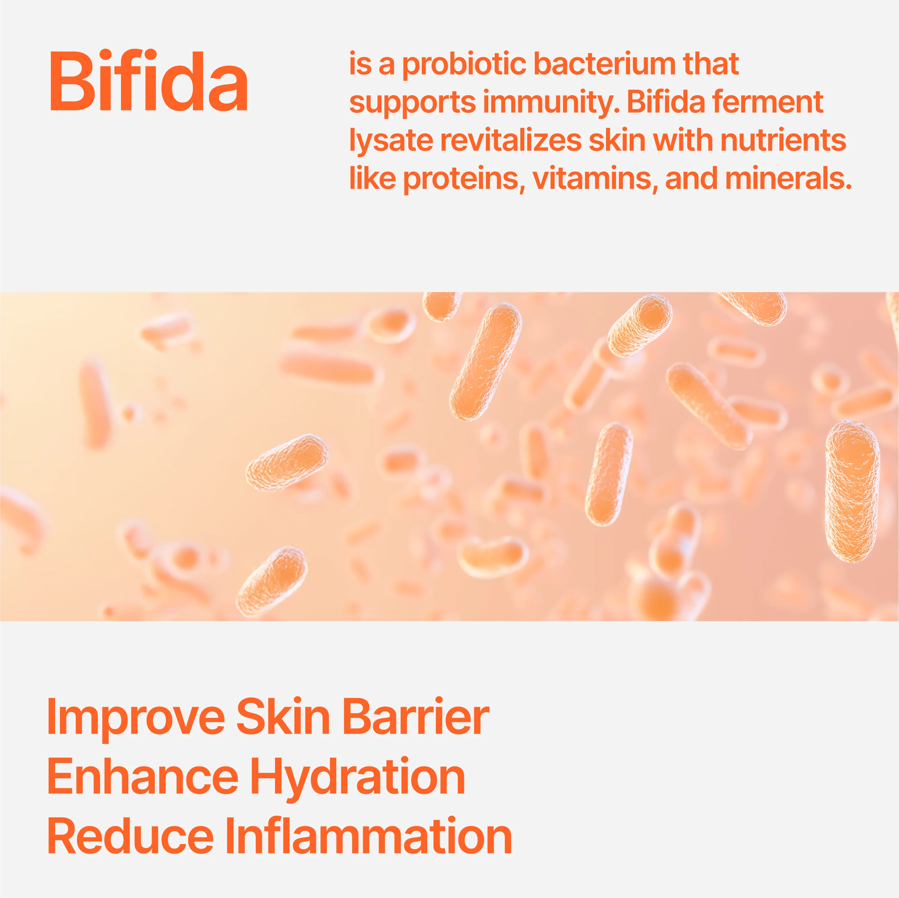 CU Dr. Solution Bifida Cream - Image 5
