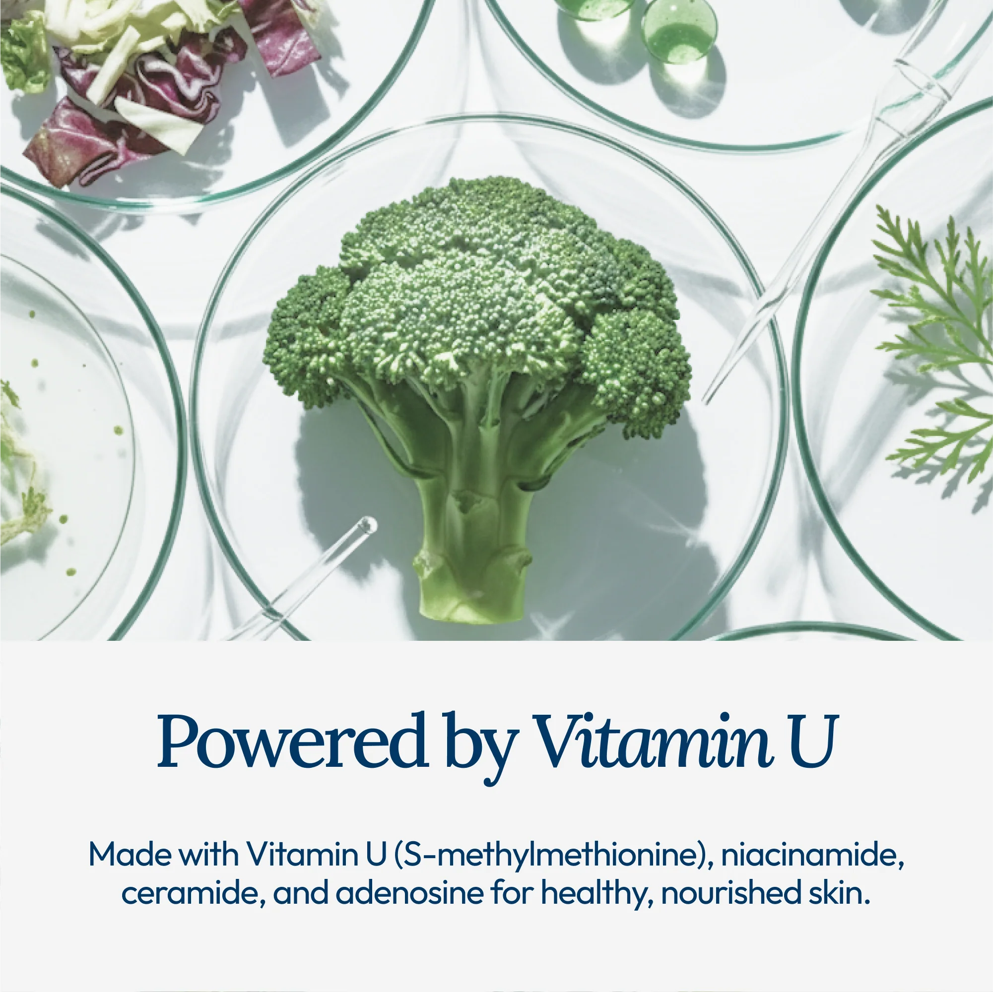 CU: Vitamin U Moisturizing Cream - Image 6