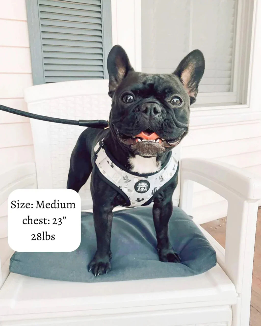 Doggie Republic Sport Harness - No Probllama - Image 4