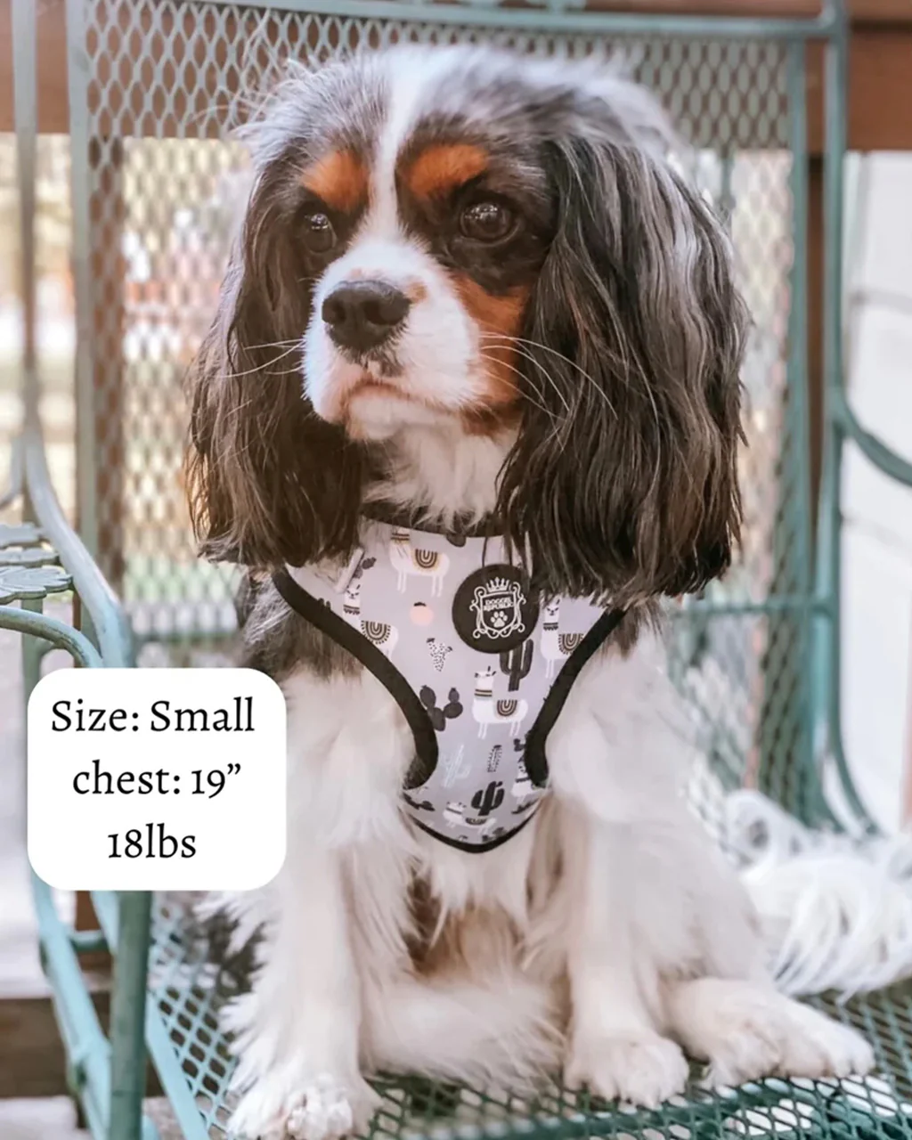 Doggie Republic Sport Harness - No Probllama - Image 6