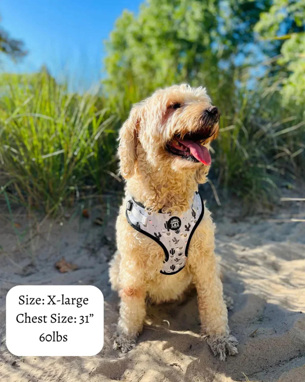 Doggie Republic Sport Harness - No Probllama - Image 8