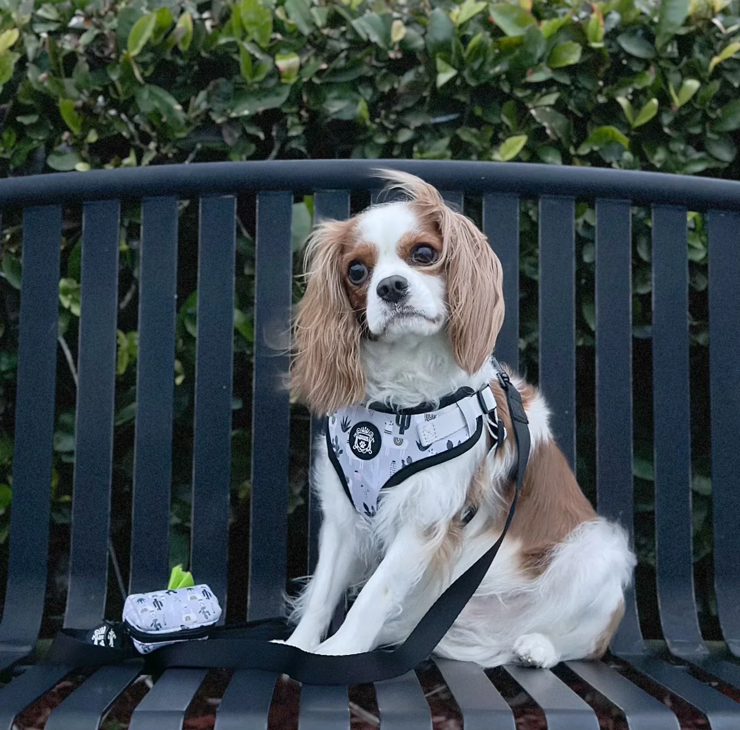Doggie Republic Sport Waste Bag Holder - Image 3