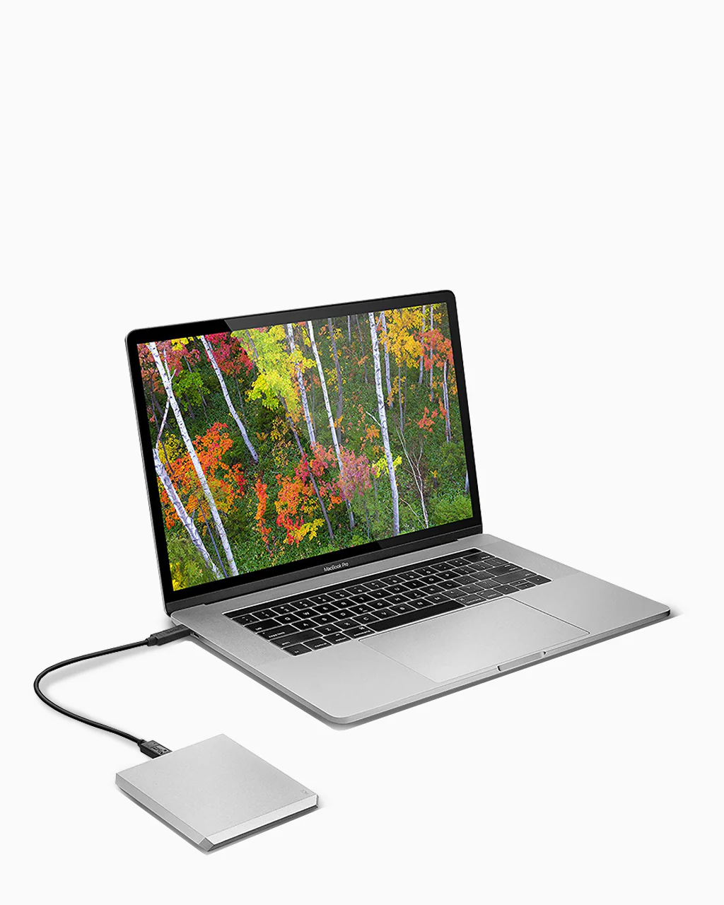 LaCie Mobile Drive 4TB with USB-C (STHG4000400)