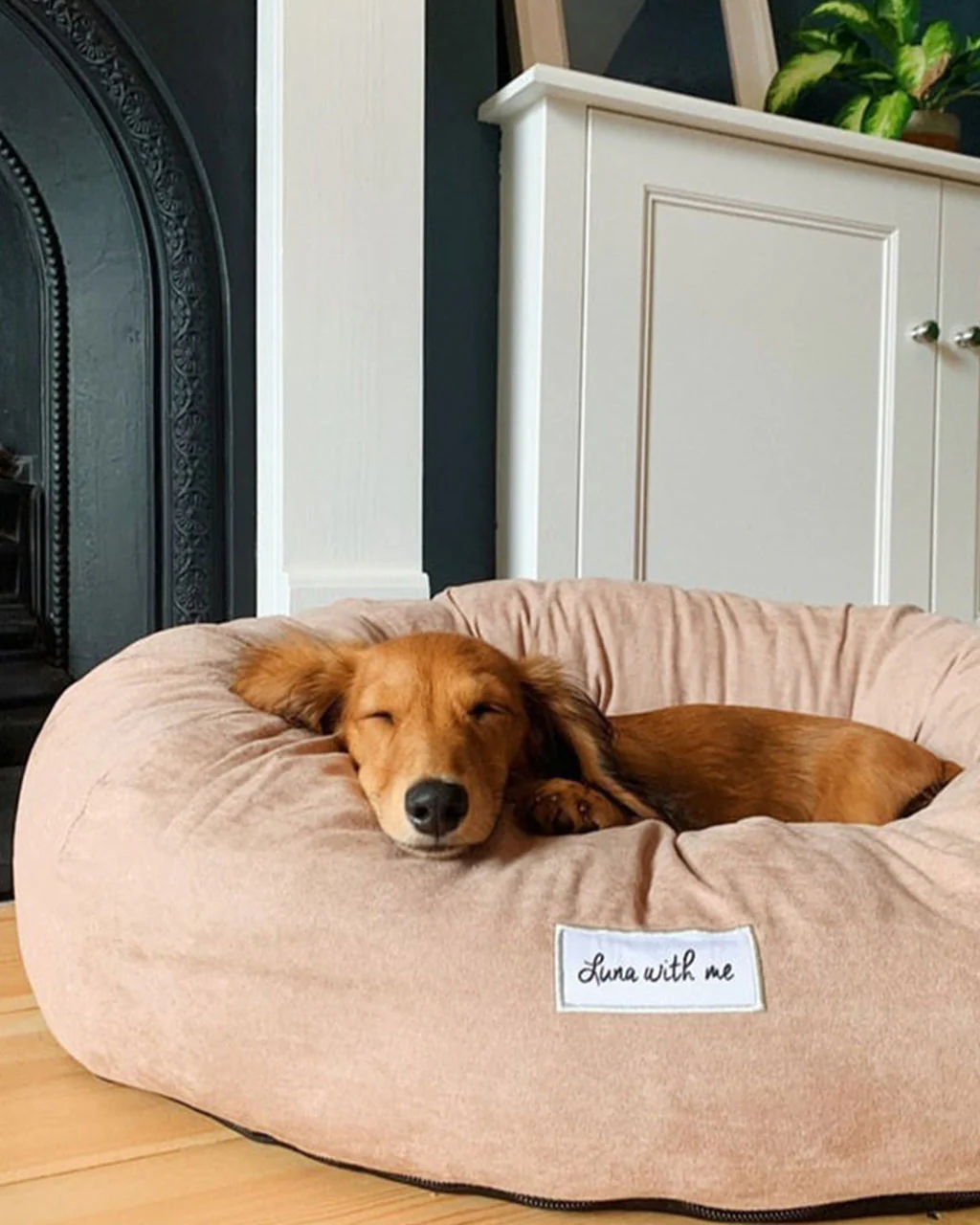 Luna With Me Donut Dog Bed - Beige - Image 4