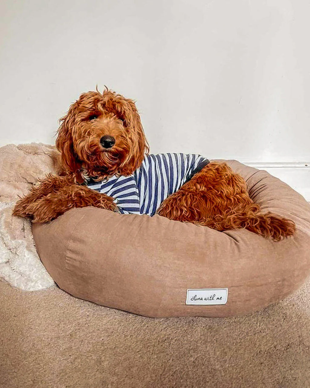 Luna With Me Donut Dog Bed - Beige - Image 5