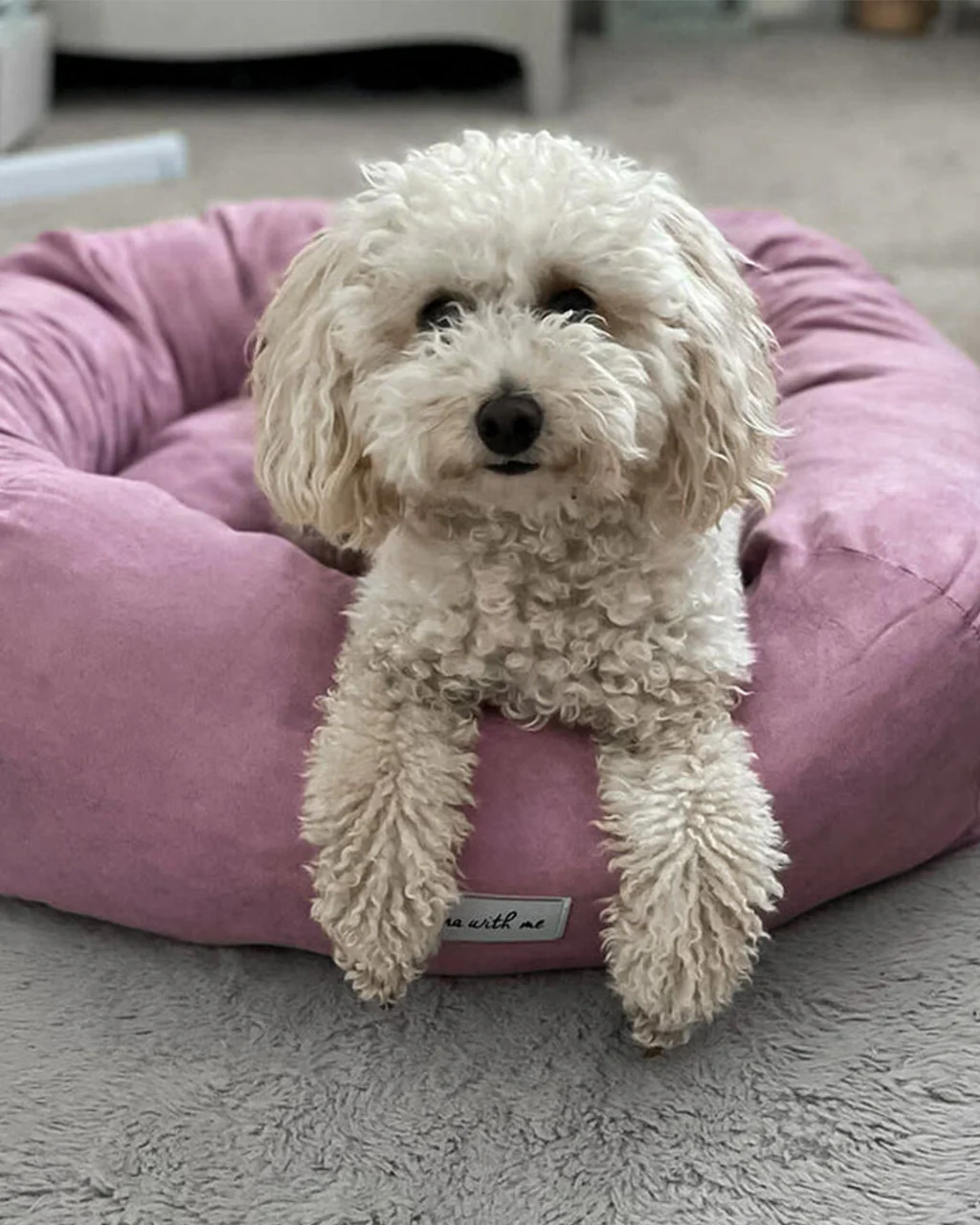 Luna With Me Donut Dog Bed - Mauve - Image 4