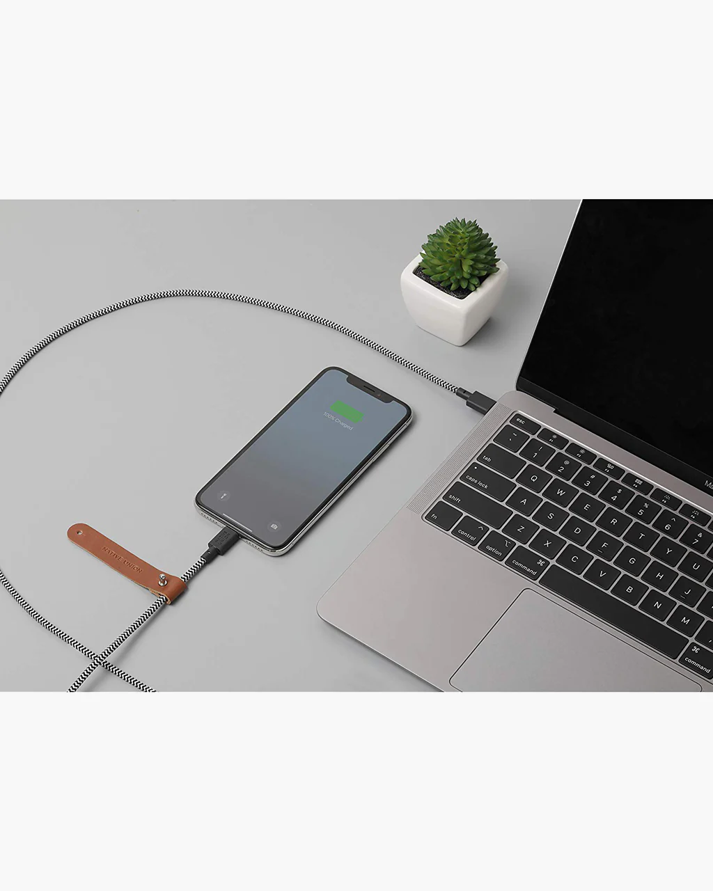 Native Union Belt Cable 4ft (USB-C to Lightning) - Image 8
