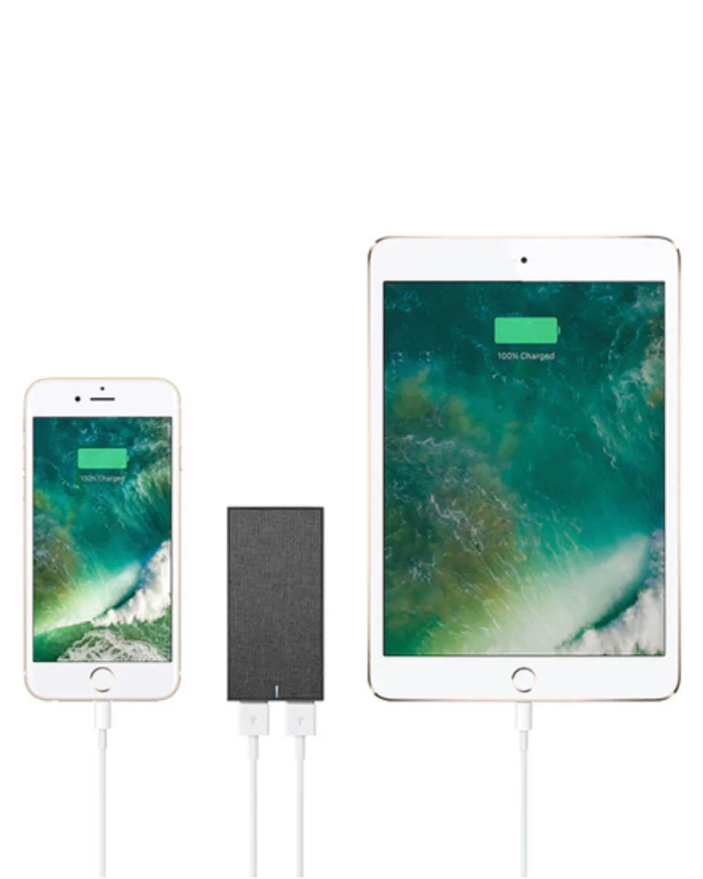 Native Union Smart Charger International - Image 4
