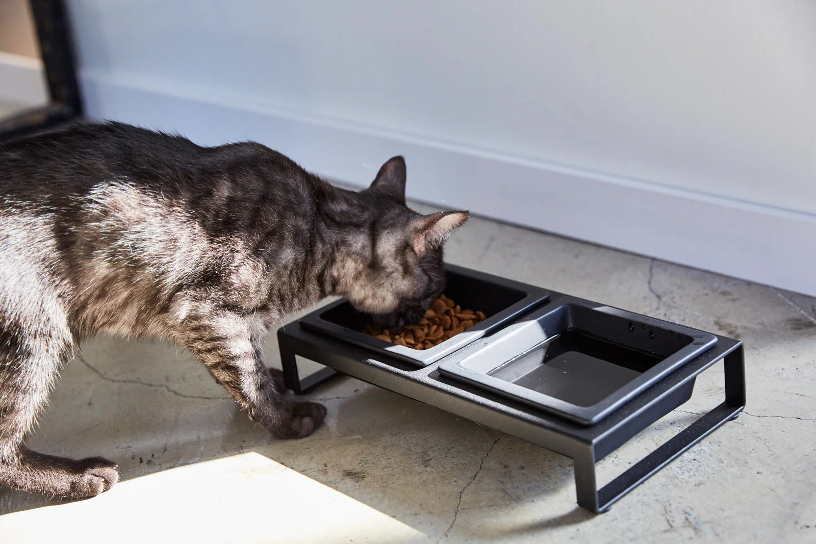 Yamazaki Home Pet Food Bowl - Image 10