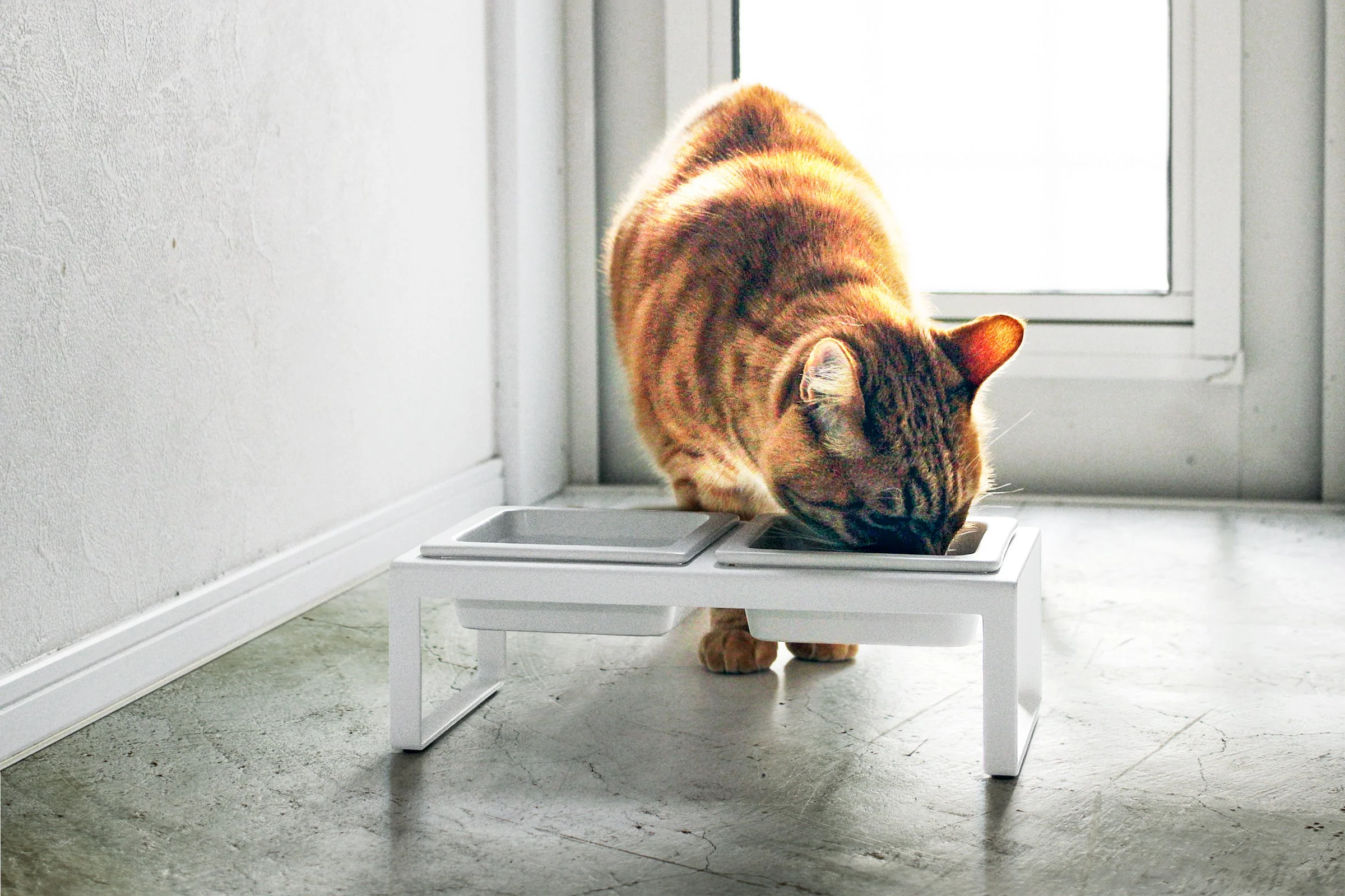 Yamazaki Home Pet Food Bowl - Tall - Image 2