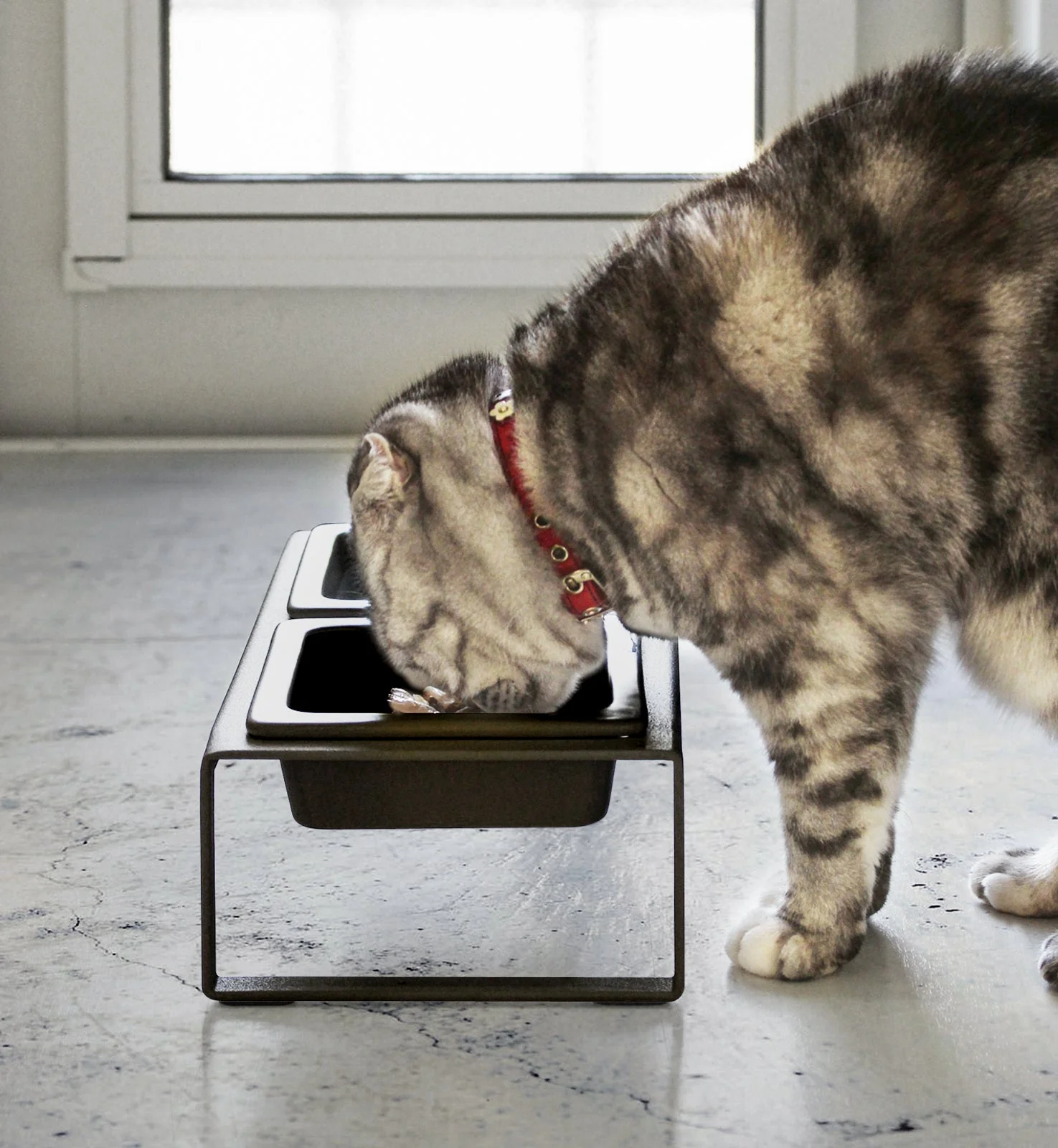 Yamazaki Home Pet Food Bowl - Tall - Image 7