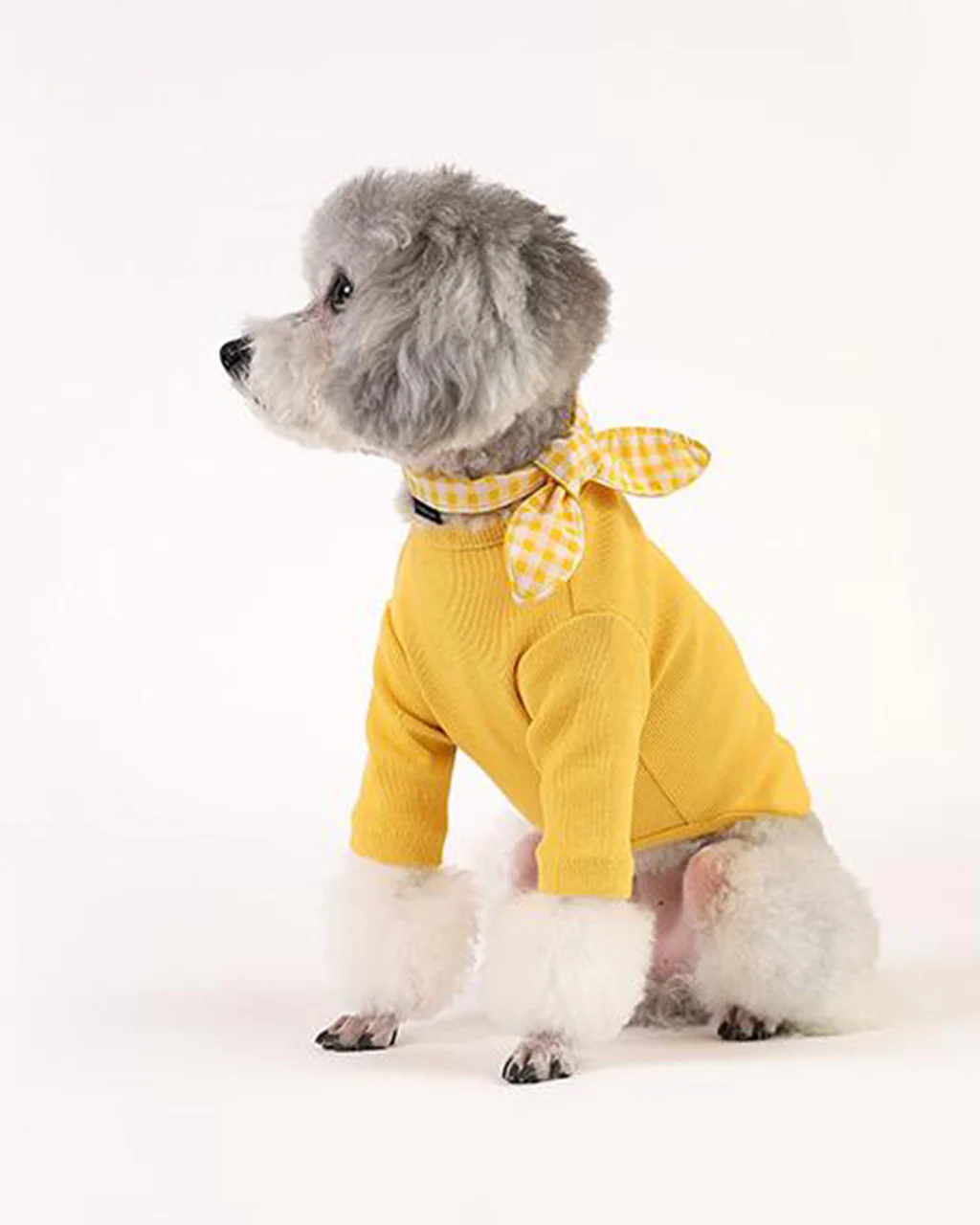 Pets So Good Gelato Sleeve - Image 11