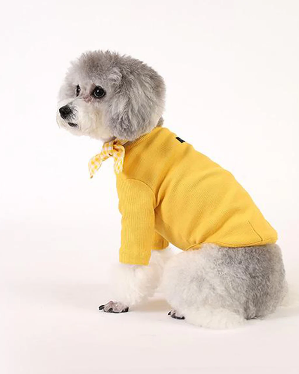 Pets So Good Gelato Sleeve - Image 15