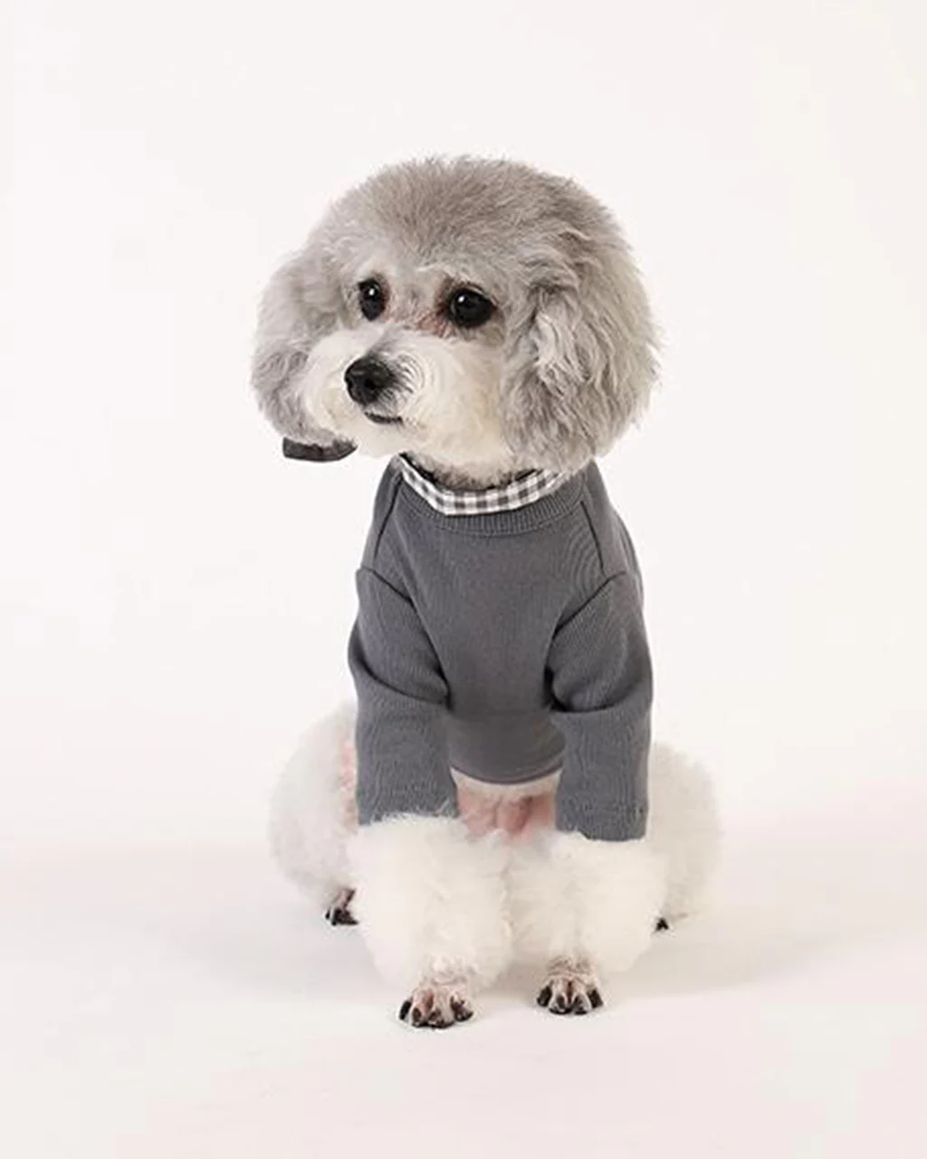 Pets So Good Gelato Sleeve - Image 6