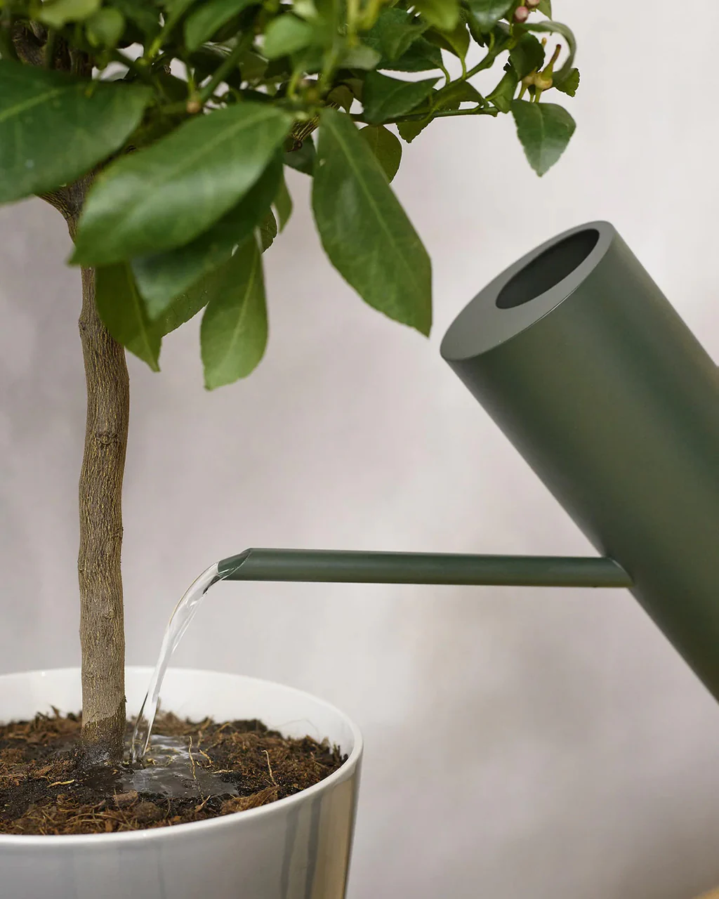 Stelton Bloom Watering Can - Image 3